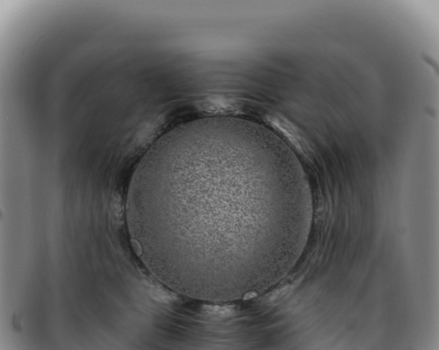 X0000096480469200801311600