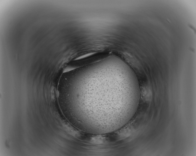 X0000096480470200801311600