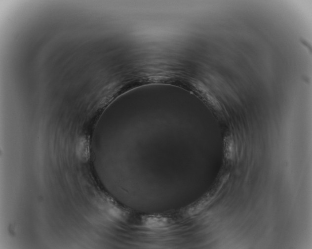 X0000096480471200801311600