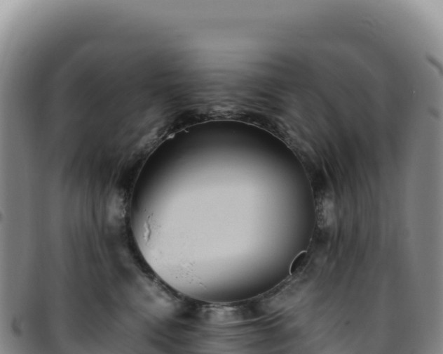 X0000096480472200801311600