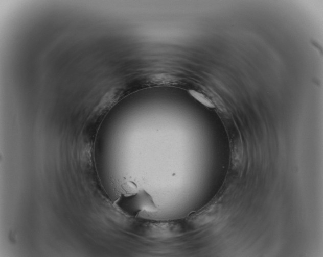 X0000096480473200801311600