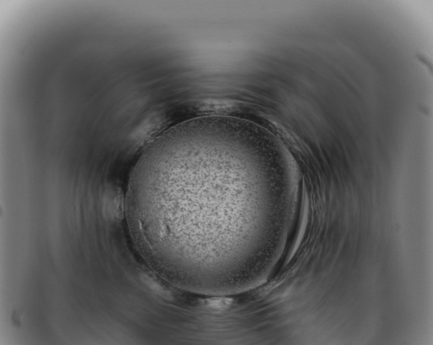 X0000096480474200801311600