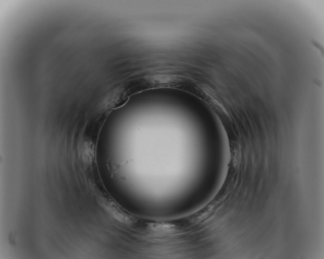 X0000096480476200801311600