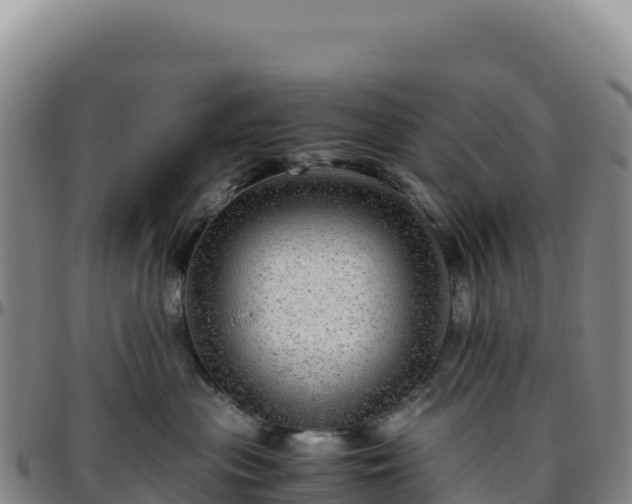 X0000096480477200801311600