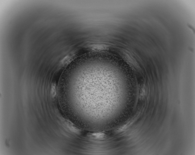 X0000096480478200801311600