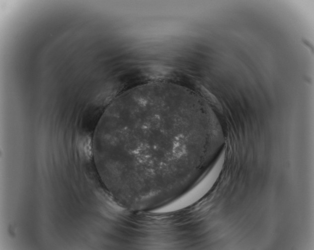 X0000096480479200801311600