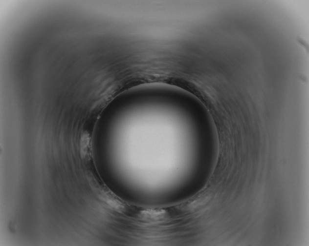 X0000096480480200801311600