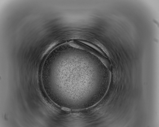 X0000096480482200801311559