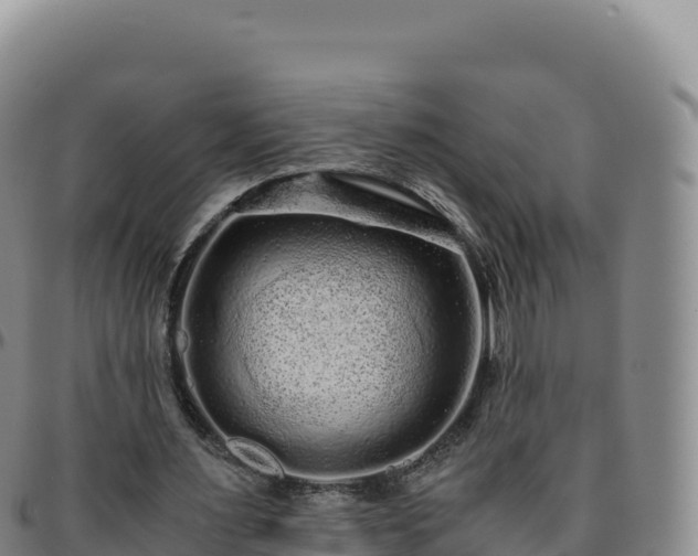 X0000096480483200801311559