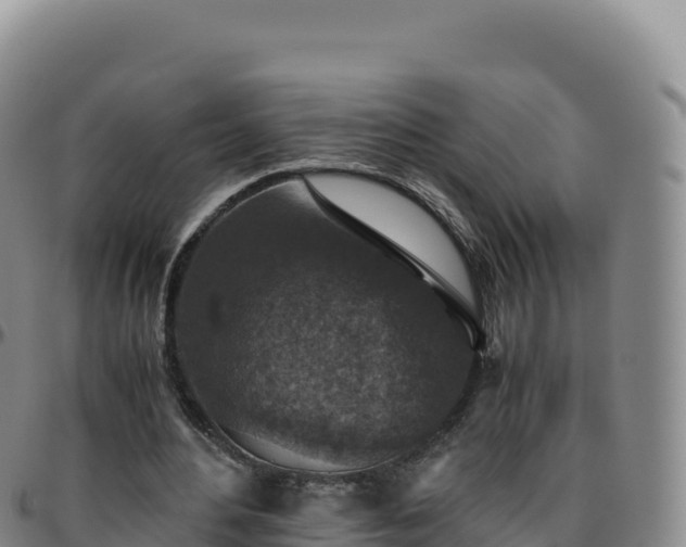 X0000096480484200801311559