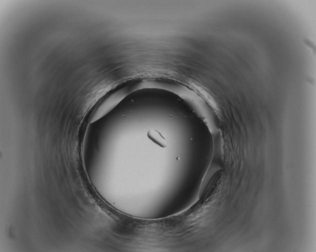 X0000096480485200801311559