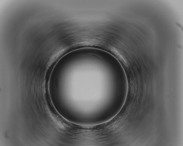 X0000096480486200801311559