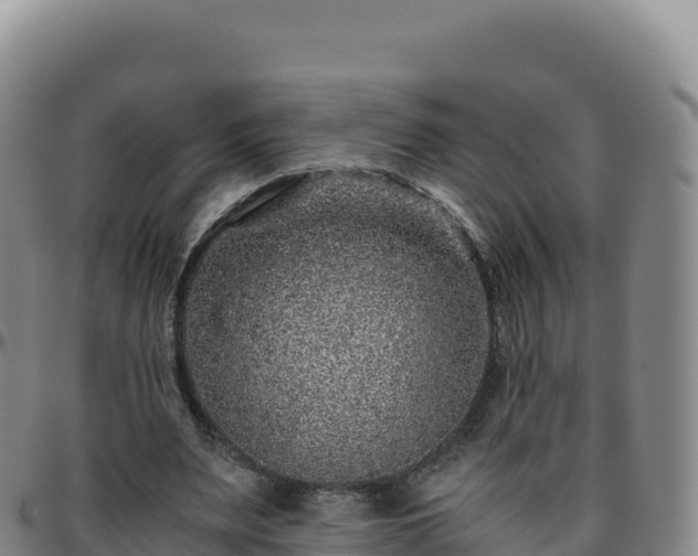 X0000096480487200801311559