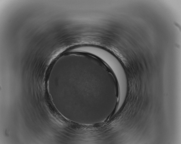 X0000096480488200801311559