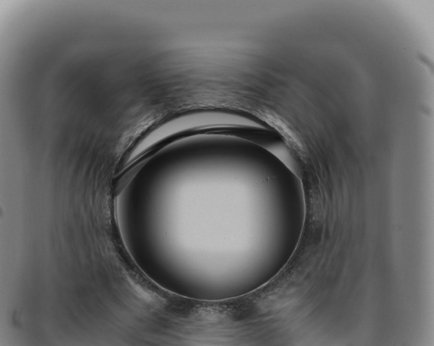 X0000096480489200801311559