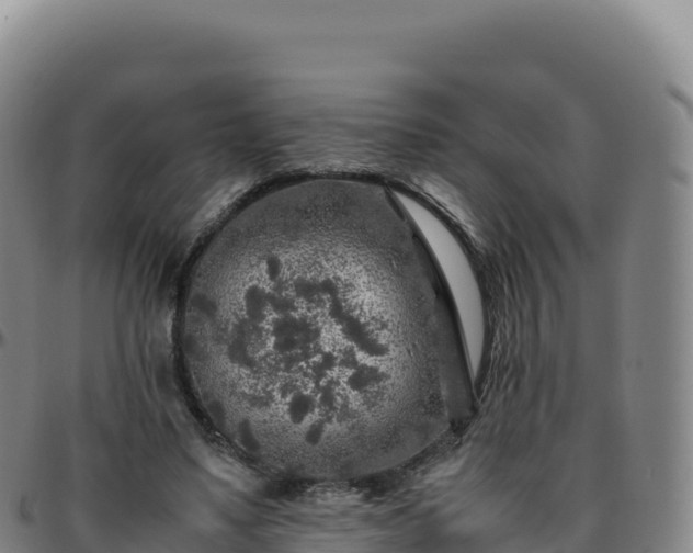 X0000096480491200801311559