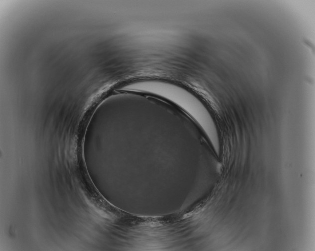 X0000096480492200801311559