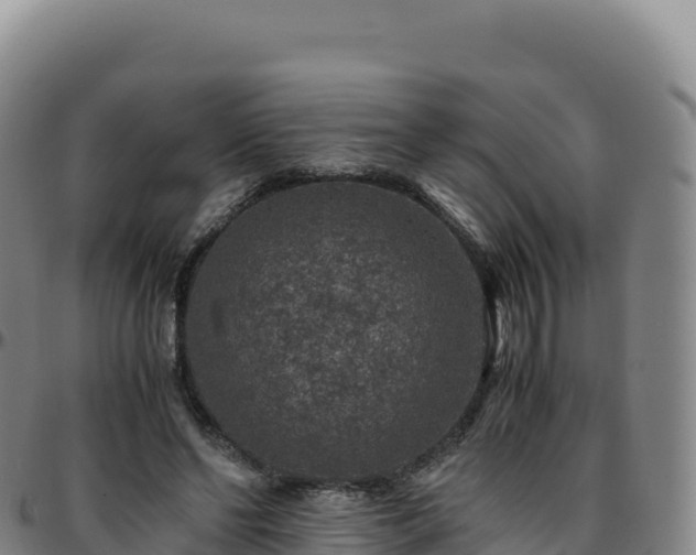 X0000096480494200801311559