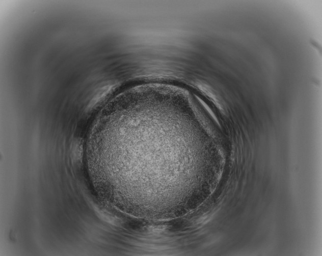 X0000096480495200801311559