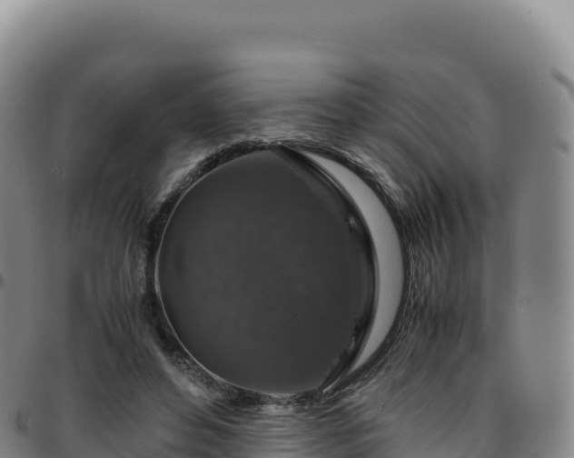 X0000096480496200801311559