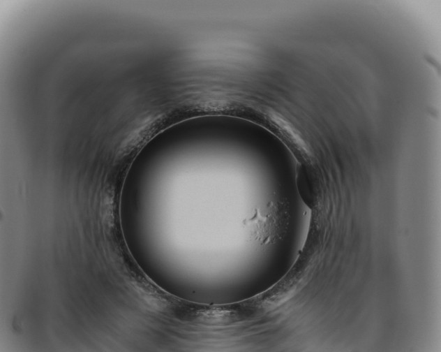 X0000096480497200801311559