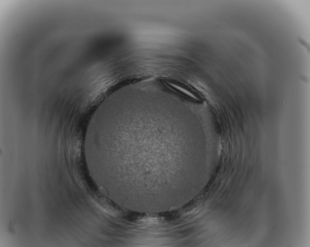 X0000096480499200801311559