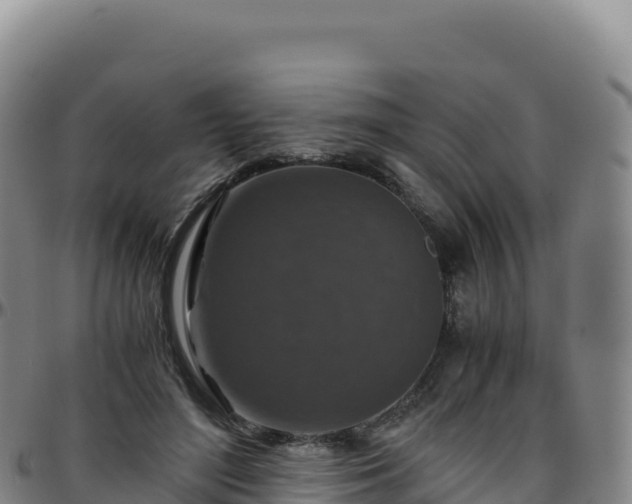 X0000096480500200801311559