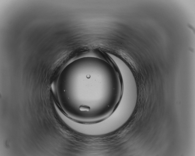 X0000096480501200801311559