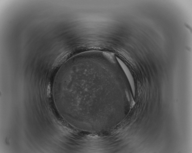 X0000096480502200801311559