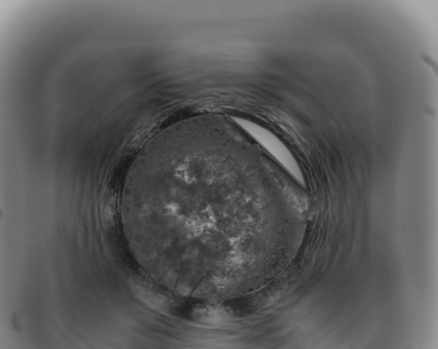 X0000096480503200801311559