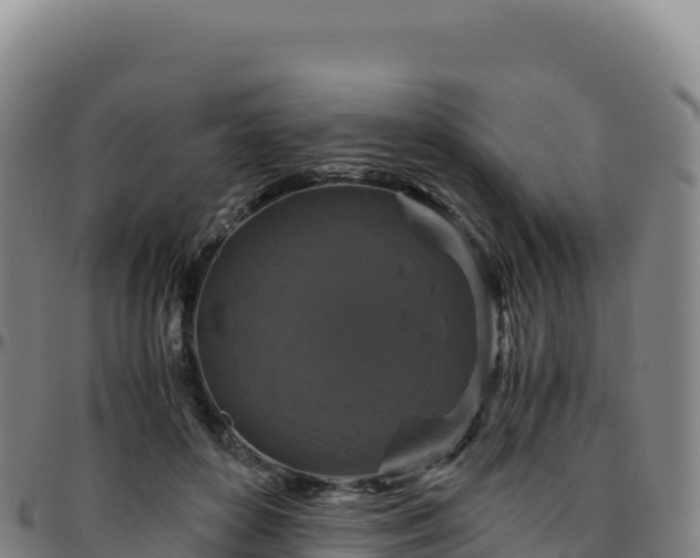 X0000096480504200801311559