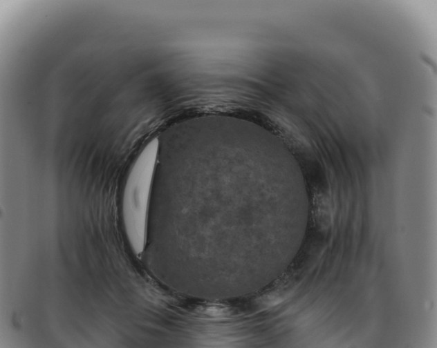 X0000096480506200801311559