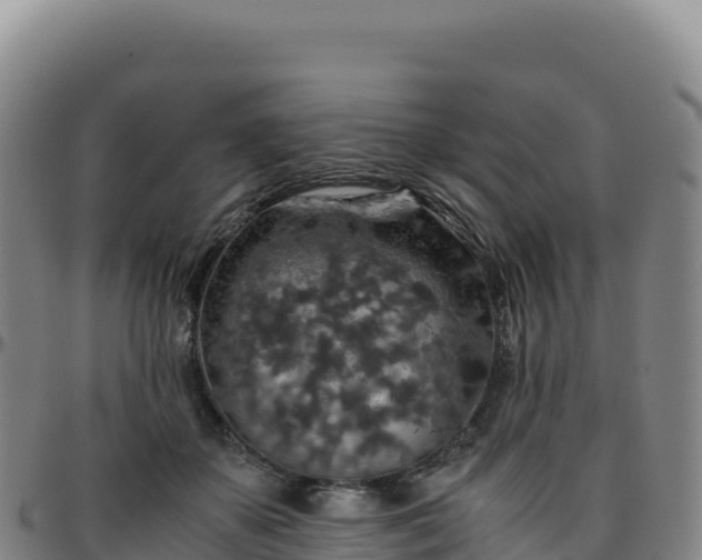 X0000096480507200801311559