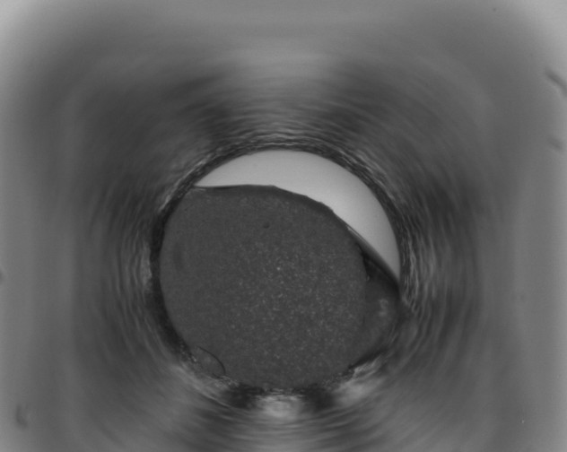 X0000096480508200801311559