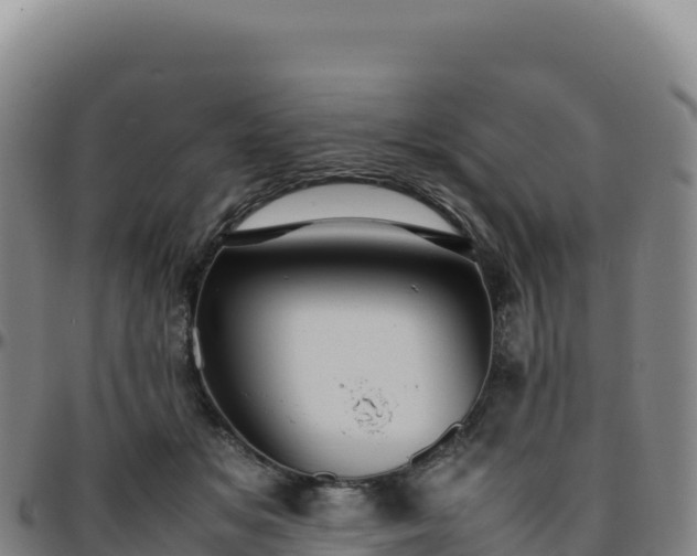 X0000096480509200801311559