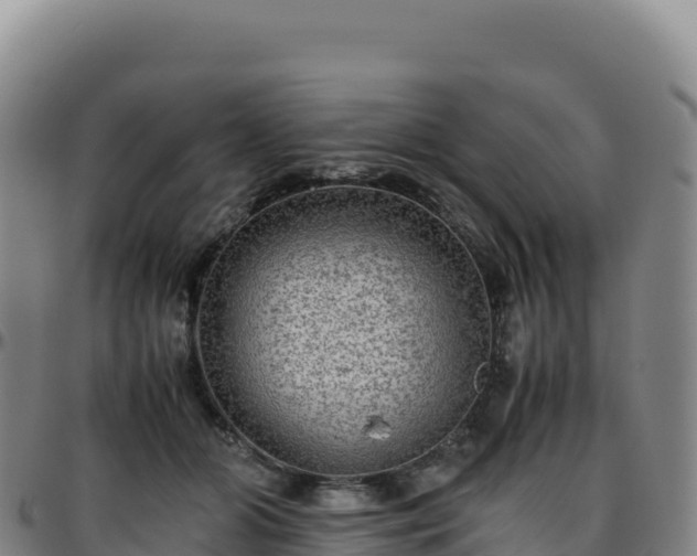 X0000096480510200801311559