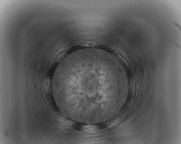 X0000096480511200801311559