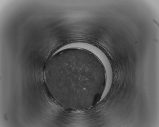 X0000096480512200801311559