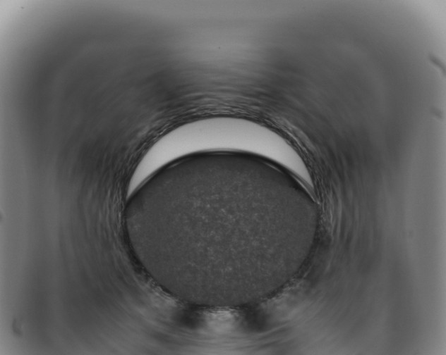 X0000096480513200801311559