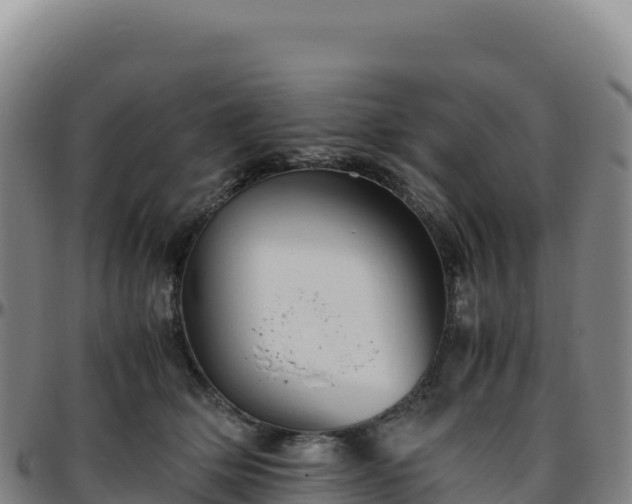 X0000096480514200801311559