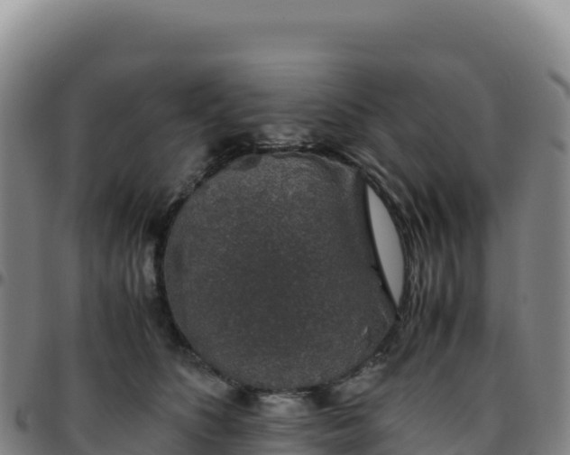 X0000096480516200801311559