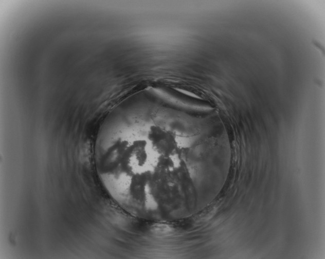 X0000096480519200801311559