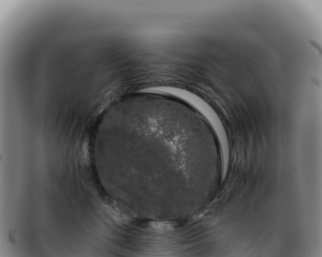 X0000096480520200801311559