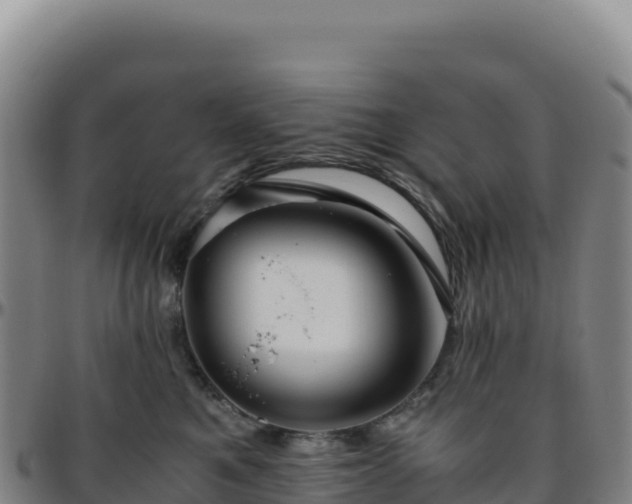 X0000096480521200801311559