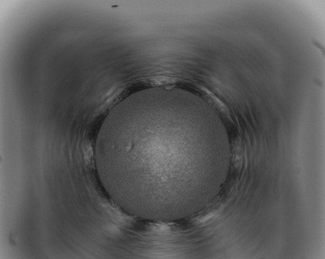 X0000096480523200801311559