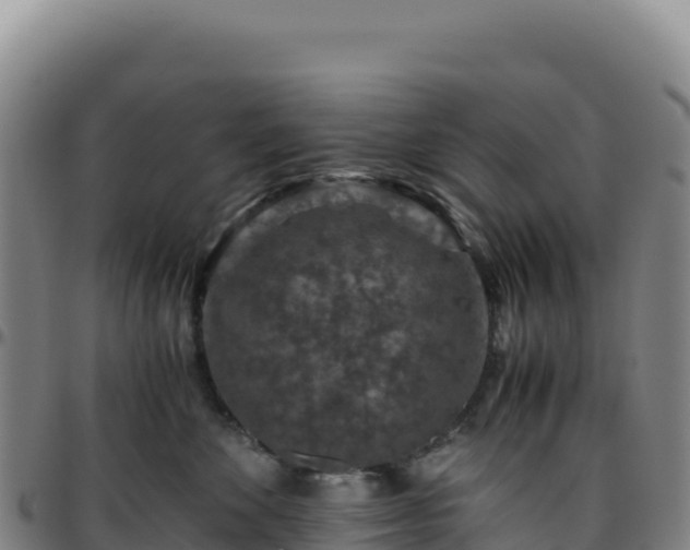 X0000096480524200801311559