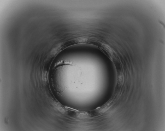 X0000096480525200801311559