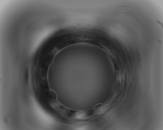 X0000096480526200801311559