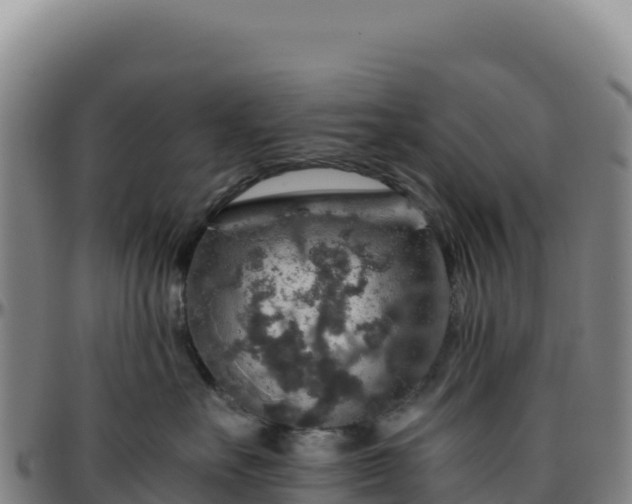 X0000096480527200801311559