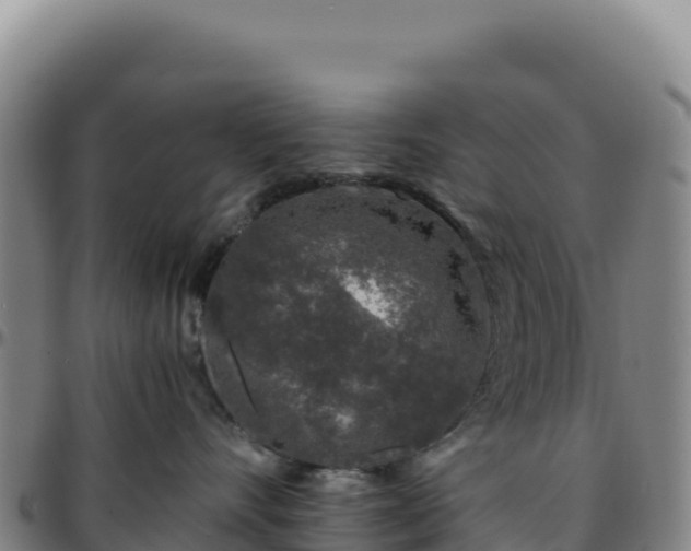 X0000096480528200801311559